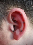 Fleisch tun wildes piercing was Wildes Fleisch