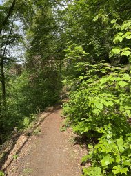 IMG_4331.jpeg