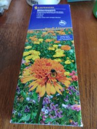blumensamen_balkon_01.jpg