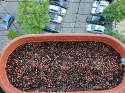 balkon_26052023_02.jpg