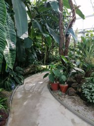 IMG_20230601_094945.jpg
