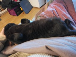 IMG_20231120_073129.jpg