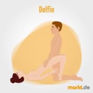 delfin.jpg