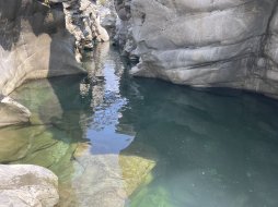 IMG_5613.jpeg