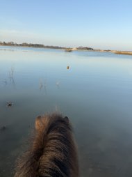 IMG_6827.jpeg