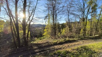 IMG_20250407_185003.jpg