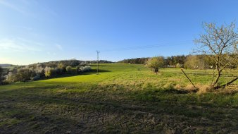 IMG_20250407_185725.jpg