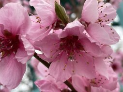 IMG_9340.jpeg