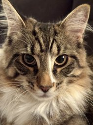 IMG_3128.jpeg