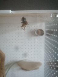 IMG_20250421_200859.jpg