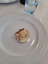 20250422_195627.jpg