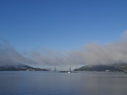 20250423_090551.jpg