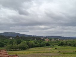20250425_135023.jpg
