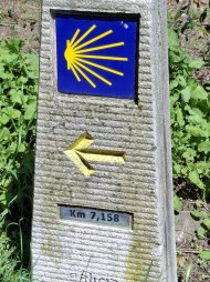 20250426_151835.jpg