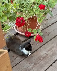 IMG_4826.jpeg