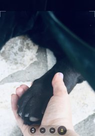 IMG_4812.jpeg