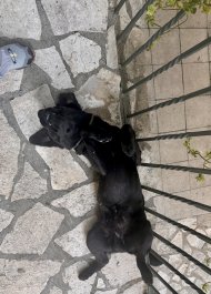 IMG_4813.jpeg