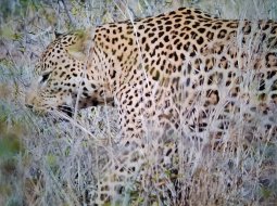 IMG_2506.jpeg
