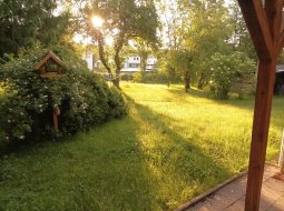 IMG_20250612_063359.jpg