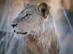 IMG_2508.jpeg