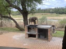 IMG_2518.jpeg