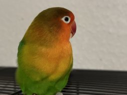 IMG_3514.jpeg