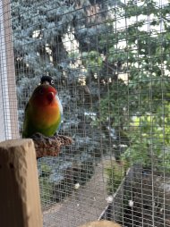 IMG_5770.jpeg