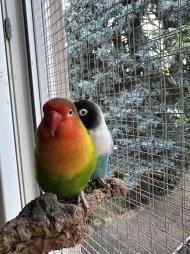 IMG_5772.jpeg