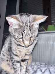 IMG_1614.jpeg