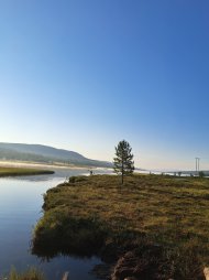 20250723_061820.jpg