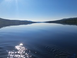 20250724_083913.jpg