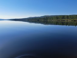 20250724_083937.jpg