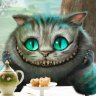 flincat