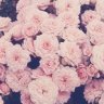 SweetLovelyLove