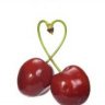 -Cherry-