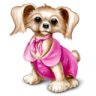 stellafree