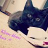Nele