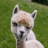 Benutzer Liliane