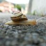 Lebe_dein_Leben