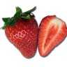 Erdbeeren_Retter