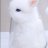 BunnyImGlas