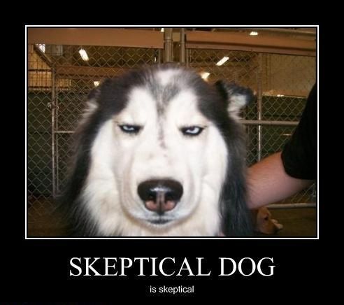 skeptical-dog-is-skeptical.jpg