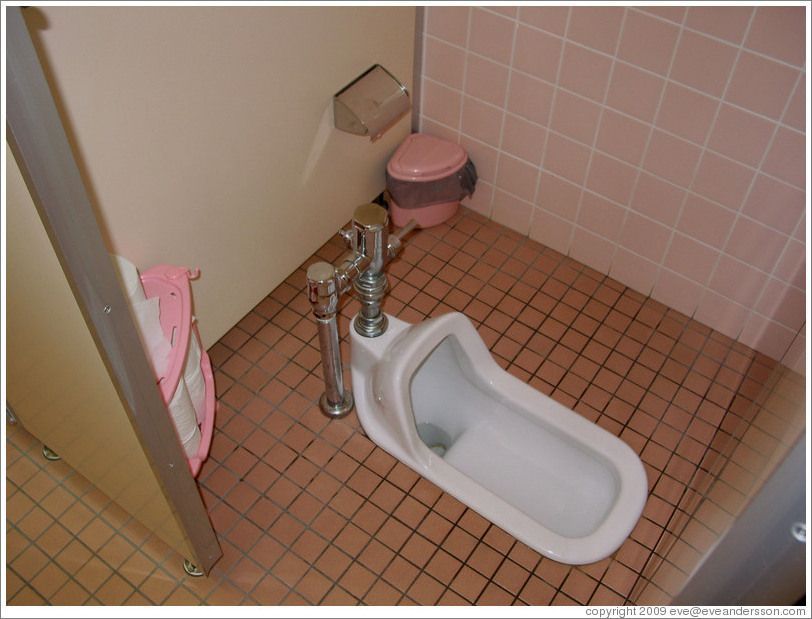 toilet-squat-2-large.jpg