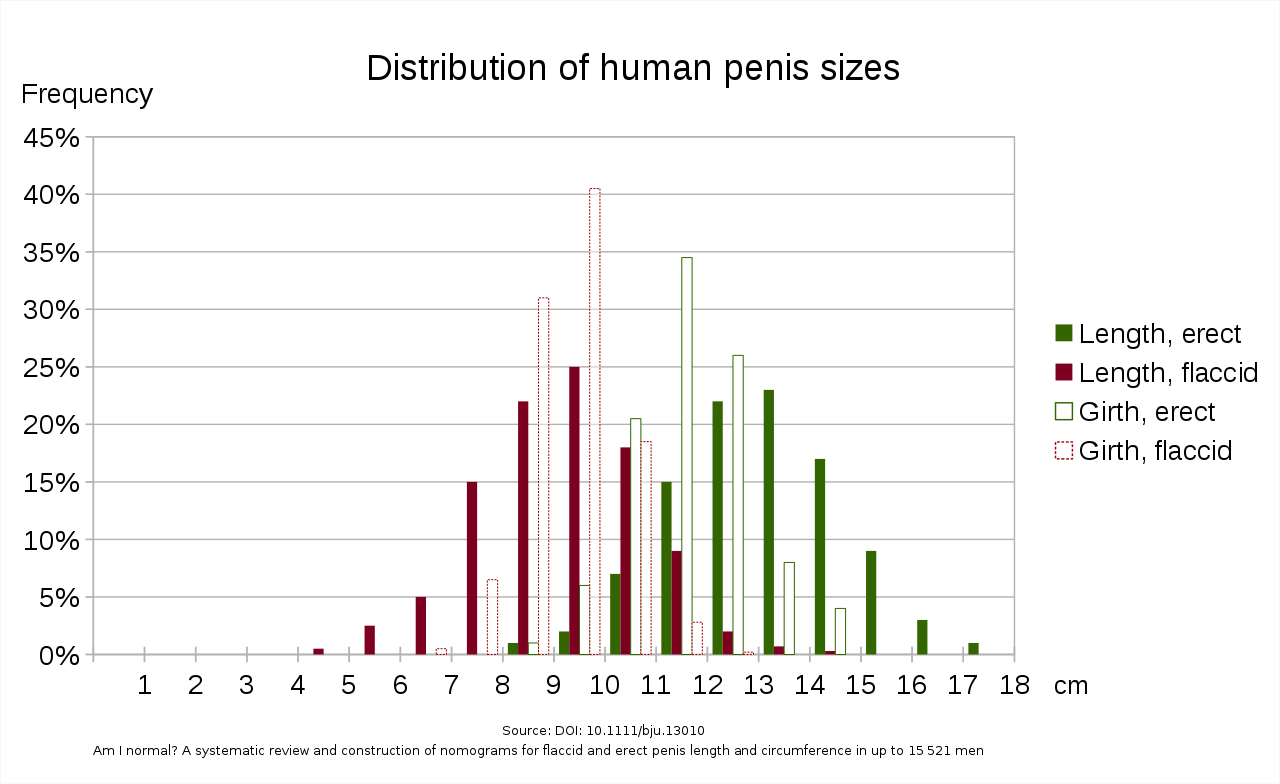 Deutschland durchschnitts penislänge Von wegen